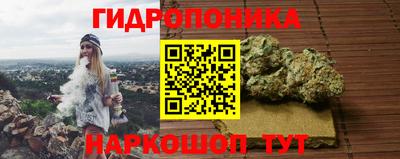 МДПВ Гагарин
