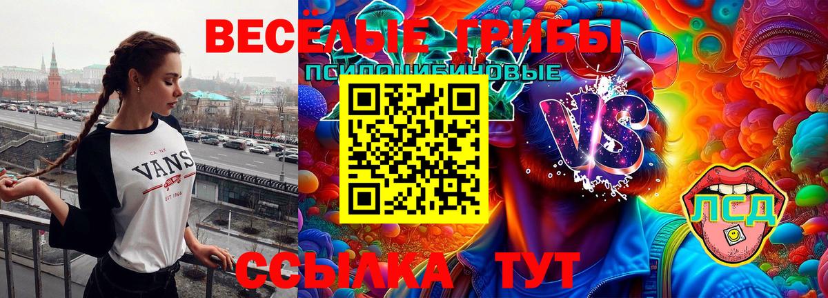 Галлюциногенные грибы Cubensis Менделеевск