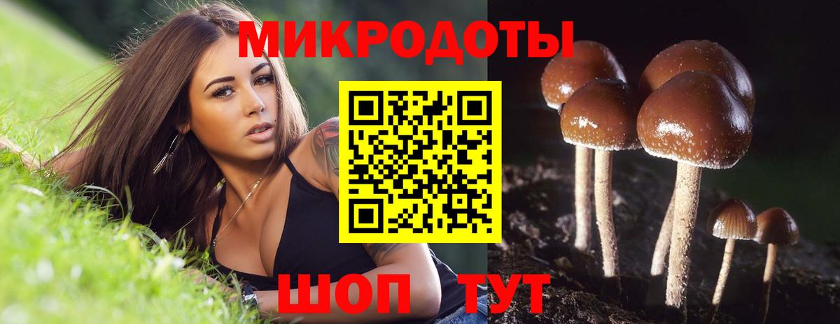 Менделеевск  Галлюциногенные грибы мицелий  Вход с VPN 